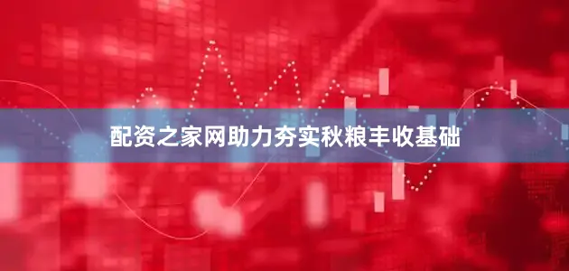 配资之家网助力夯实秋粮丰收基础