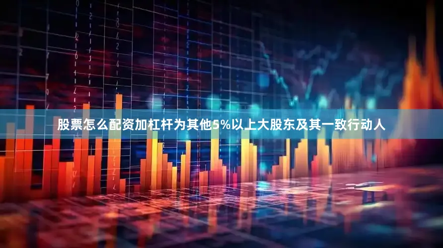 股票怎么配资加杠杆为其他5%以上大股东及其一致行动人
