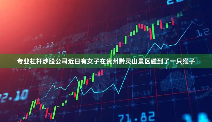专业杠杆炒股公司近日有女子在贵州黔灵山景区碰到了一只猴子